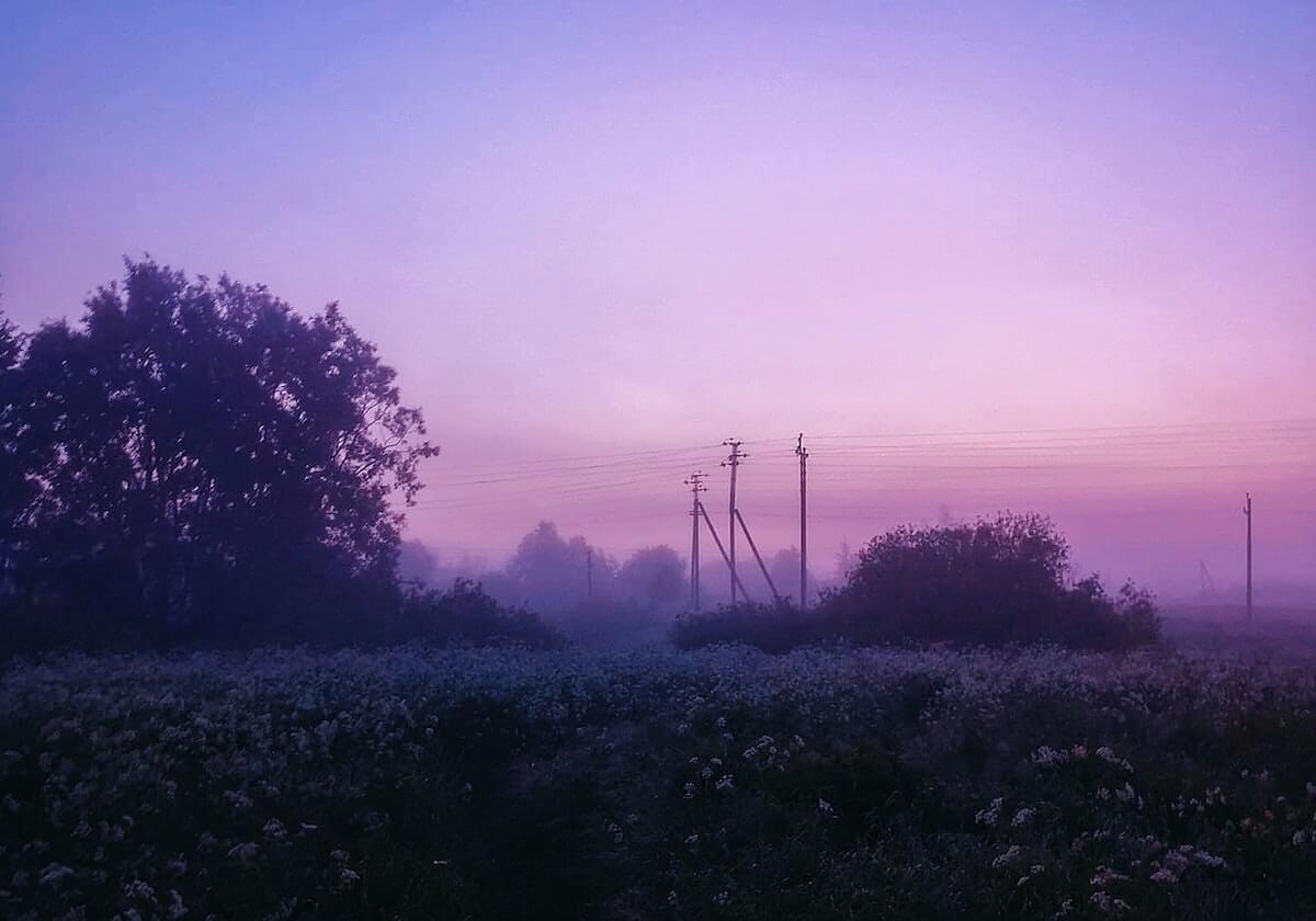 华体会官方入口-【2020足坛最佳阵容】两瓶“毛抬”助兴拜仁四大天王