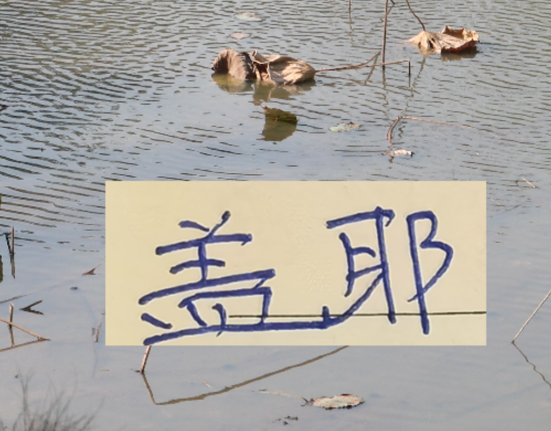 像一堵墙的盖伊 会是申花的卢卡库 还是升级版马莱莱